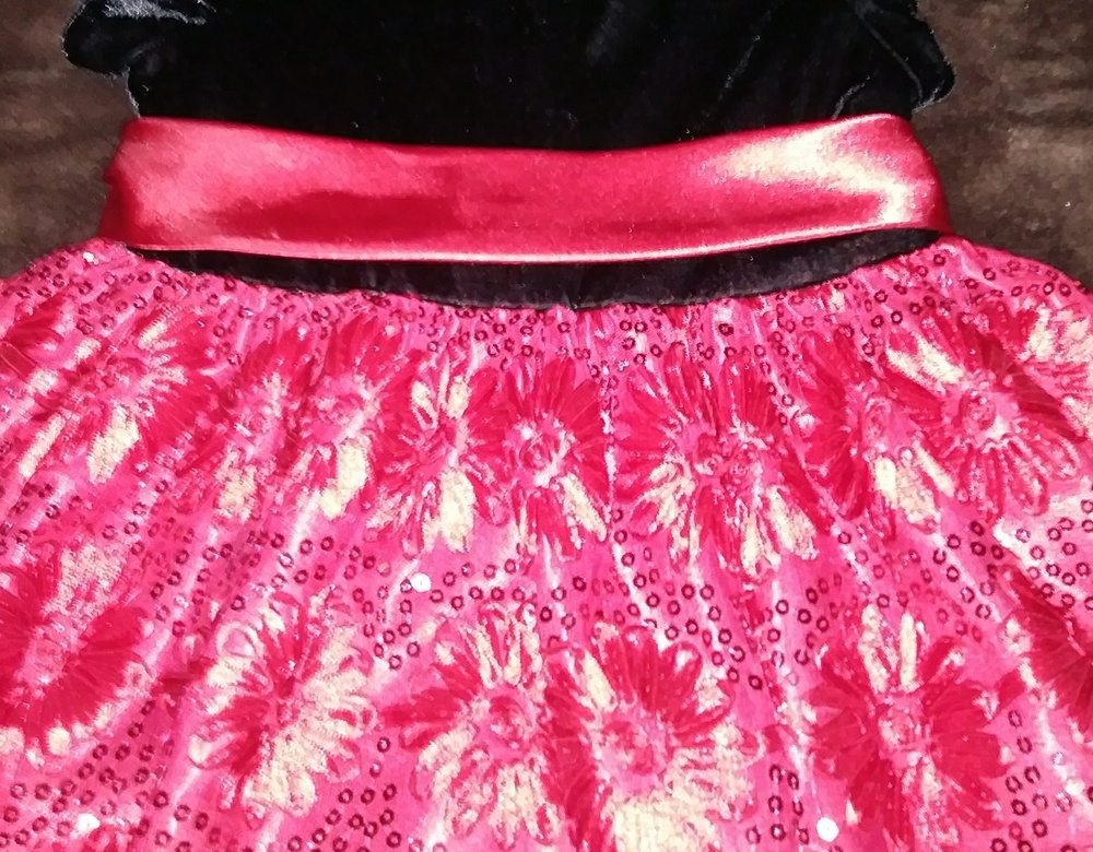 Formal Princess Dress